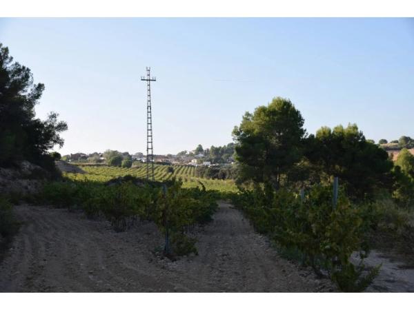 Terreno en calle Septentrional