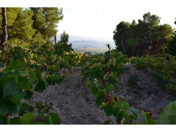 Terreno en calle Septentrional