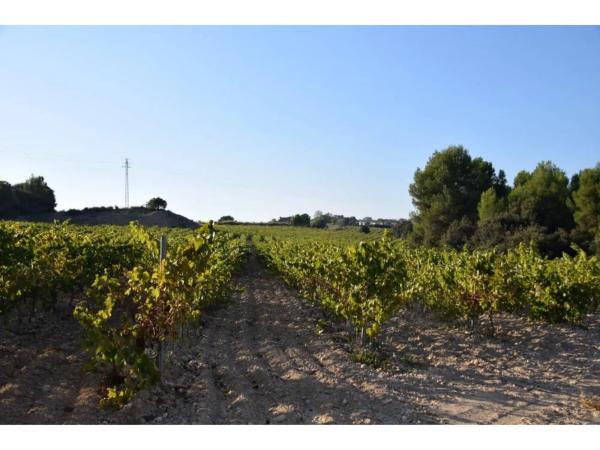 Terreno en calle Septentrional