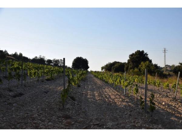 Terreno en calle Septentrional