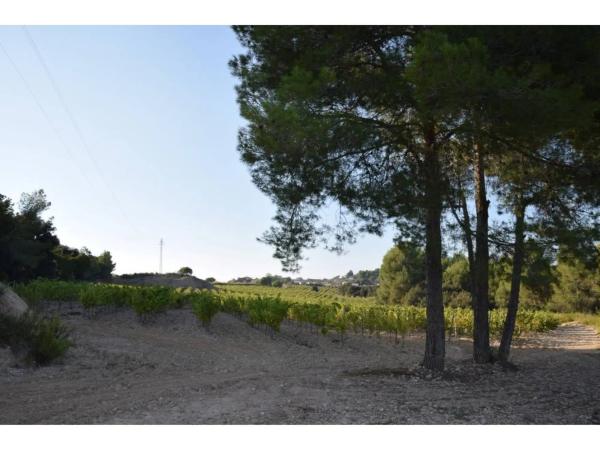 Terreno en calle Septentrional