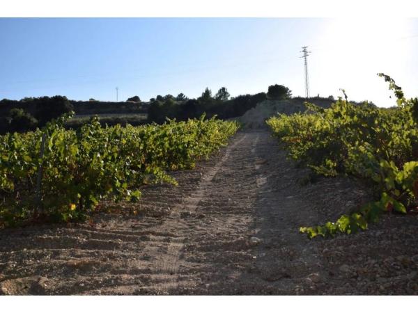 Terreno en calle Septentrional