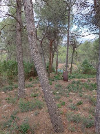 Terreno en avenida Martivell, 1105