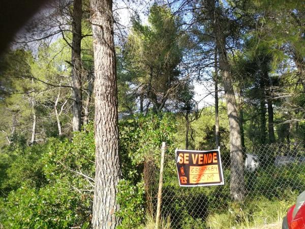 Terreno en avenida Martivell, 1105