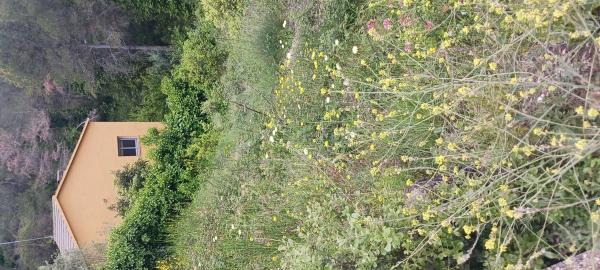 Terreno en C/ Pensament, 321