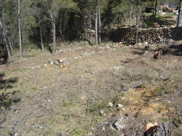 Terreno en C/ Pensament, 321