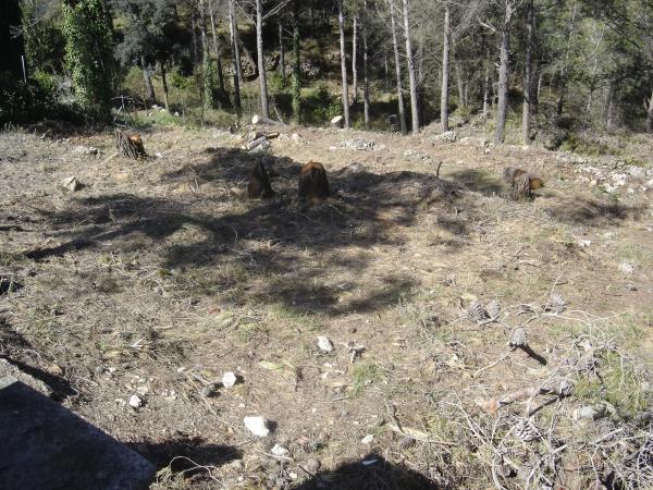 Terreno en C/ Pensament, 321