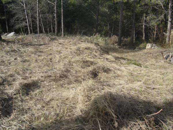 Terreno en C/ Pensament, 321