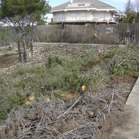 Terreno en C/ Pensament, 321