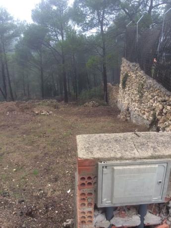 Terreno en C/ Pensament, 321