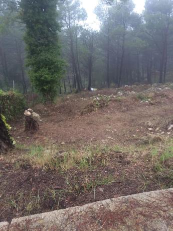 Terreno en C/ Pensament, 321