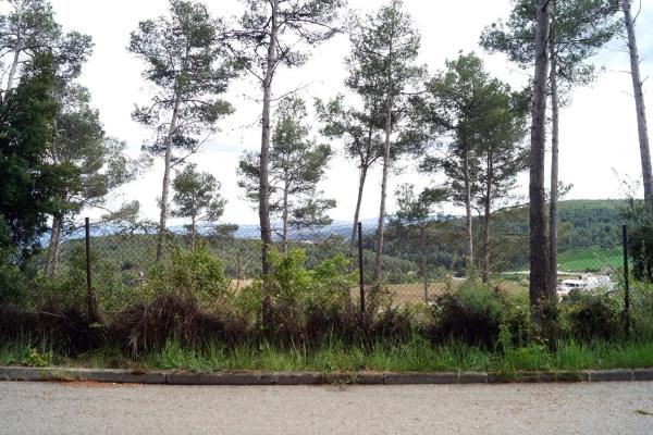 Terreno en calle Avet, 78