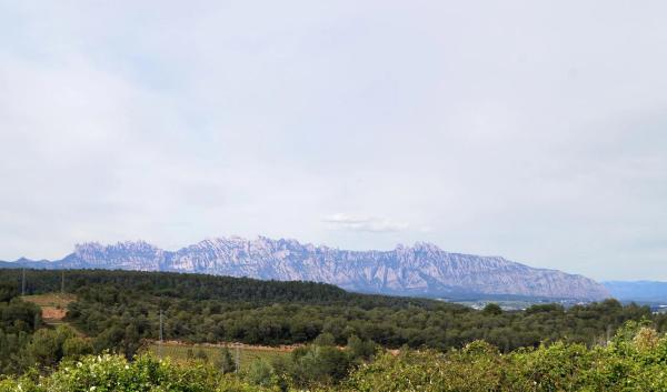 Terreno en calle Avet, 78