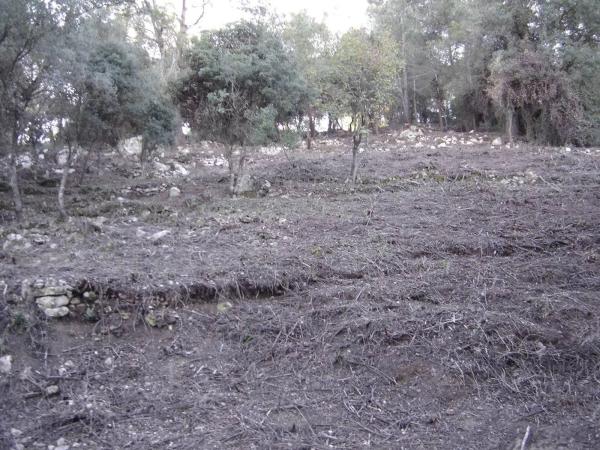 Terreno en Urbanització Martivell Polígon 2