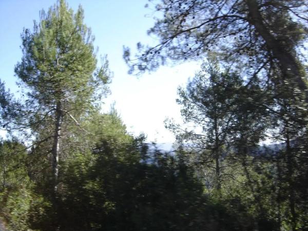 Terreno en Urbanització Martivell Polígon 2