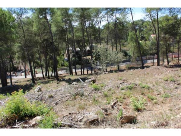 Terreno en calle Montserrat