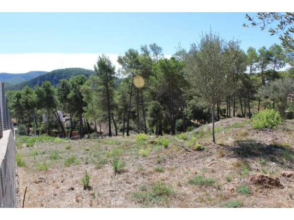 Terreno en calle Montserrat