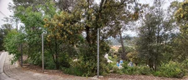 Terreno en avenida Mirador, 8 Parcela