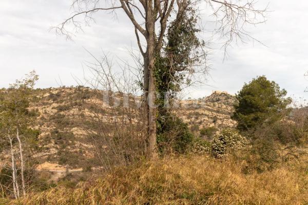 Terreno en calle Moreres, 40