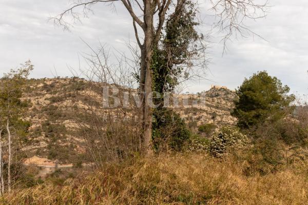 Terreno en calle Moreres, 40