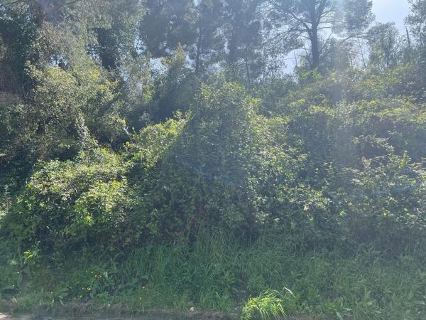 Terreno en calle Salvador Claramunt