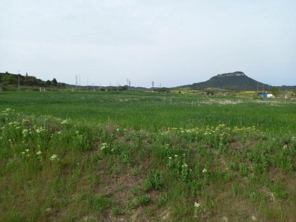 Terreno en camino de la Font del Llop