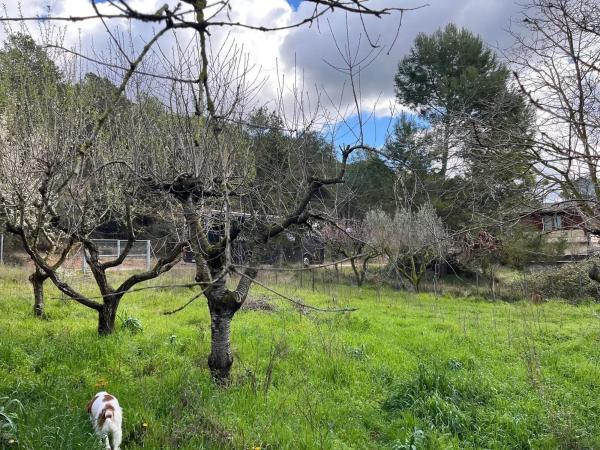 Terreno en El Bruc
