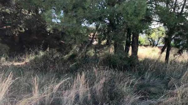 Terreno en calle del Bardoc