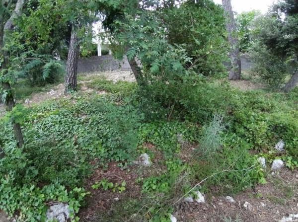 Terreno en calle Anoia, 824