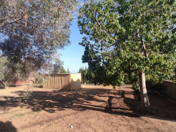 Terreno en calle Sagittarius, 8 Nmero