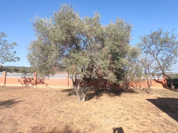 Terreno en calle Sagittarius, 8 Nmero