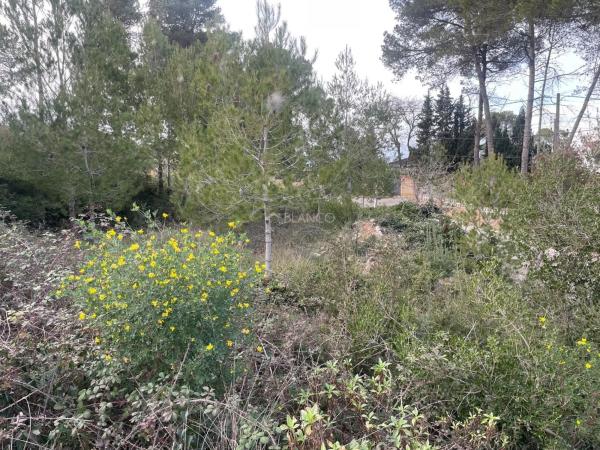 Terreno en La Torre de Claramunt
