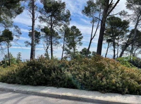 Terreno en calle Salvador Dali