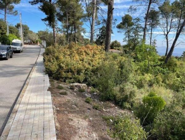 Terreno en calle Salvador Dali