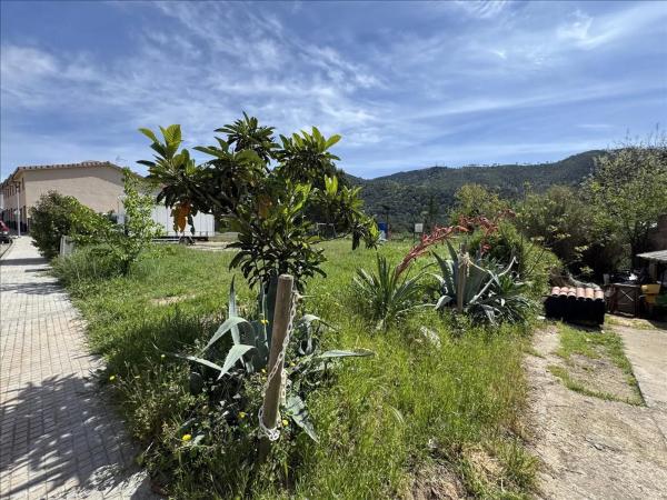Terreno en calle Torre Baixa