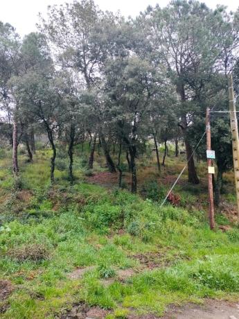 Terreno en calle Llessami