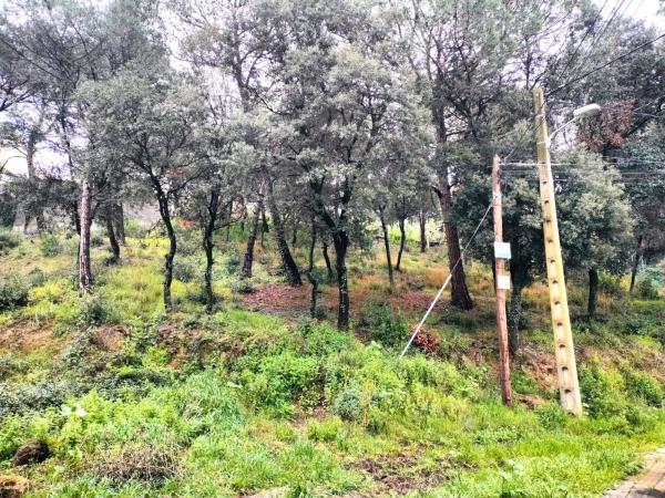 Terreno en calle Llessami
