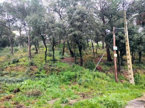 Terreno en calle Llessami