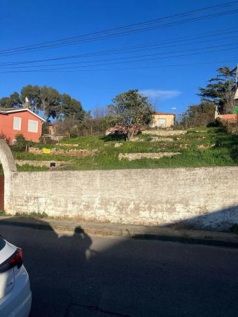 Terreno en calle Morera, 16