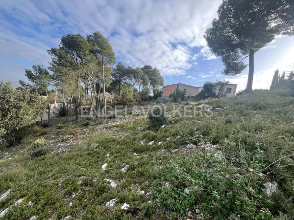 Terreno en La Torre de Claramunt