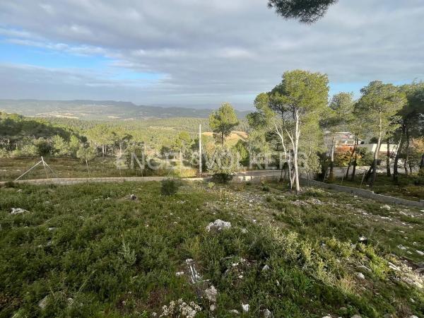 Terreno en La Torre de Claramunt