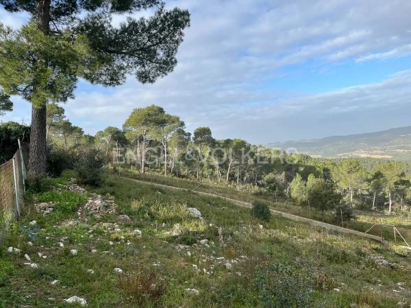 Terreno en La Torre de Claramunt