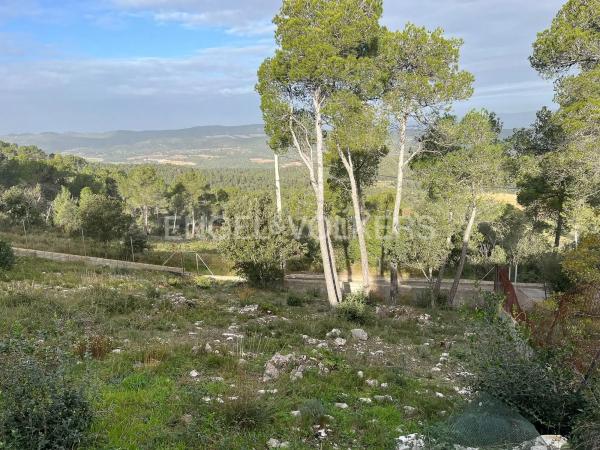 Terreno en La Torre de Claramunt