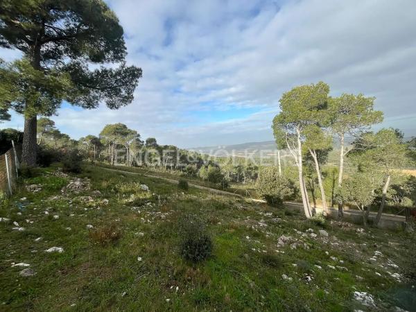 Terreno en La Torre de Claramunt
