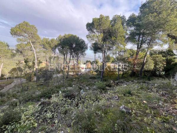 Terreno en La Torre de Claramunt