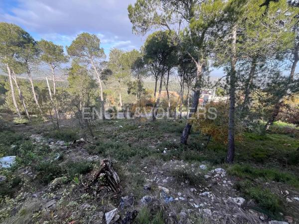 Terreno en La Torre de Claramunt