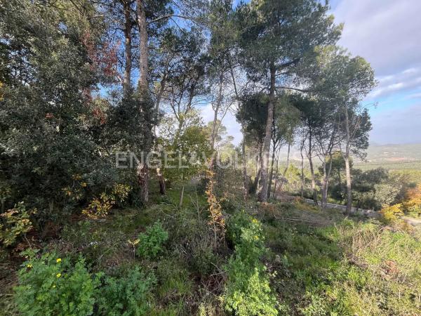 Terreno en La Torre de Claramunt