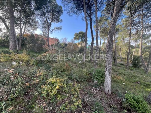 Terreno en La Torre de Claramunt