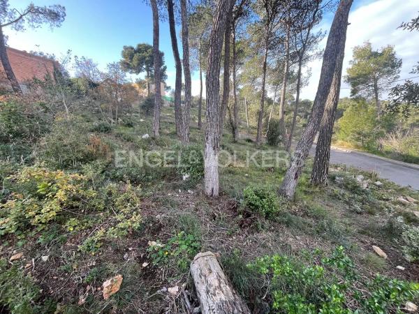 Terreno en La Torre de Claramunt