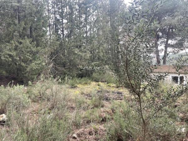 Terreno en Cabrera d'Anoia